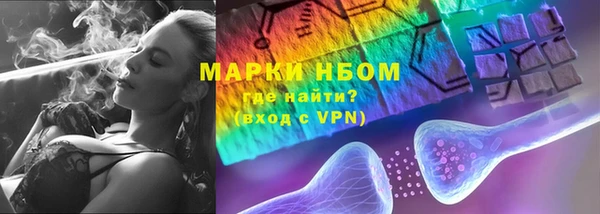 гидра Богородск