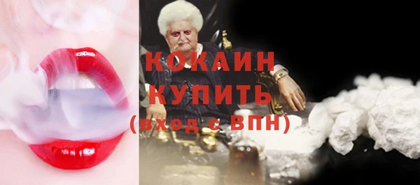 гидра Богородск