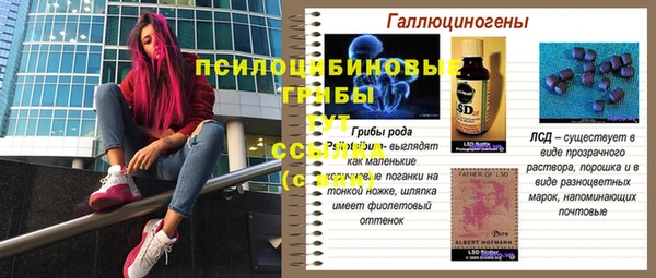 таблы Богородицк