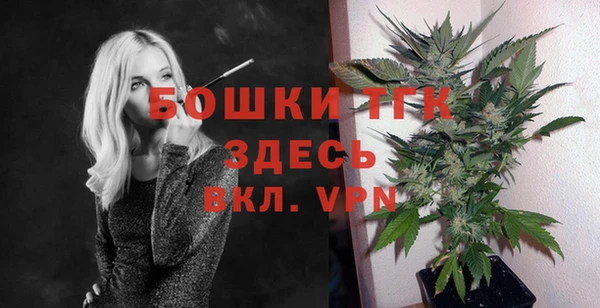 таблы Богородицк