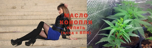 гидра Богородск