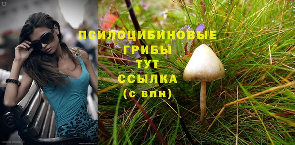 каннабис Богданович