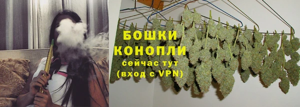 гидра Богородск