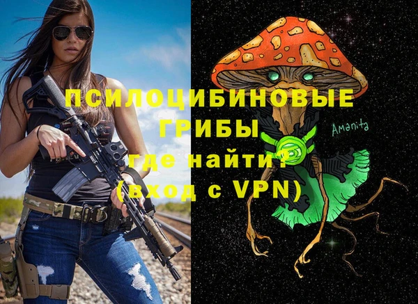 таблы Богородицк