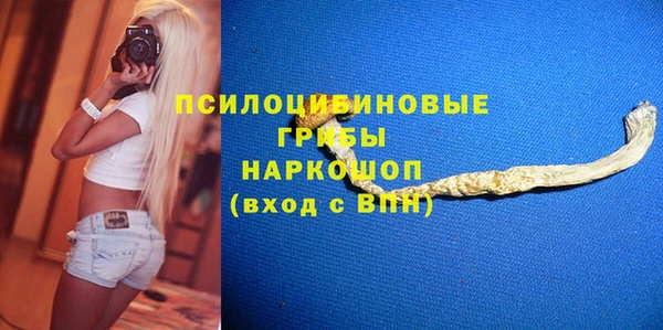 гидра Богородск