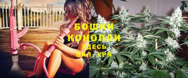 таблы Богородицк